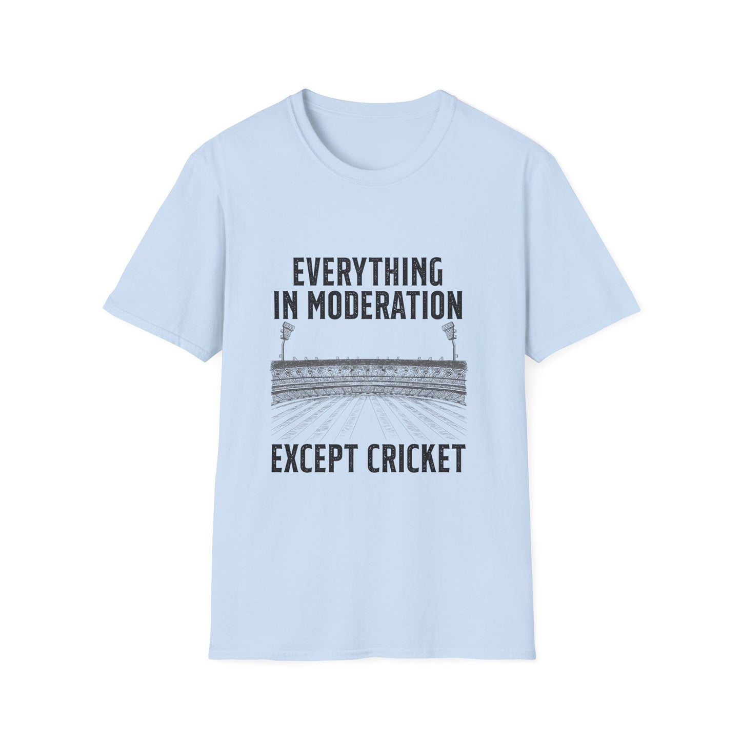 Everything In Moderation Except Cricket | Cricket T-shirt