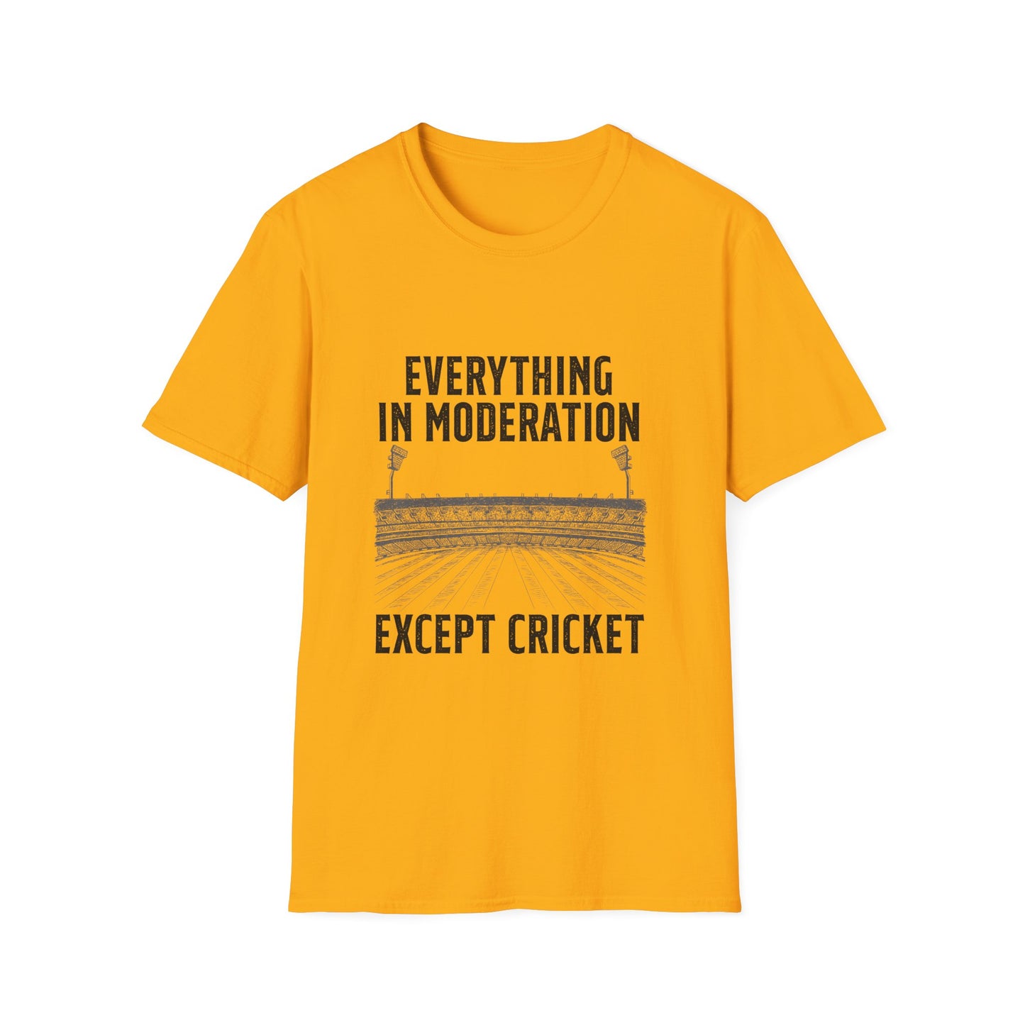 Everything In Moderation Except Cricket | Cricket T-shirt