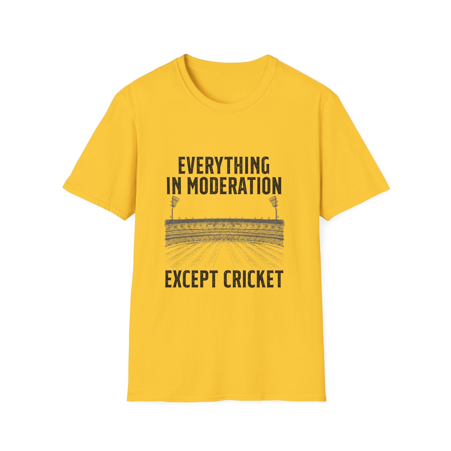 Everything In Moderation Except Cricket | Cricket T-shirt