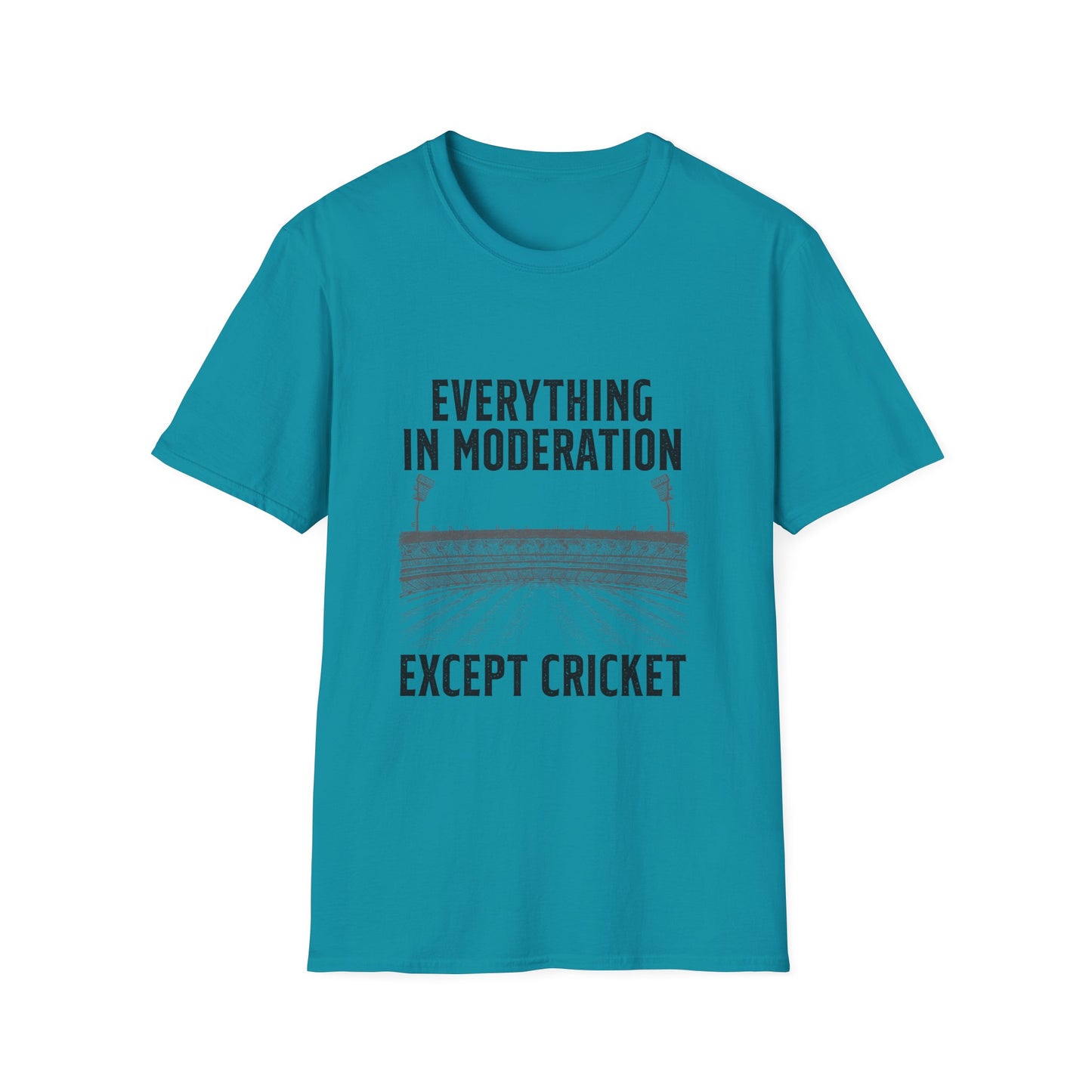 Everything In Moderation Except Cricket | Cricket T-shirt