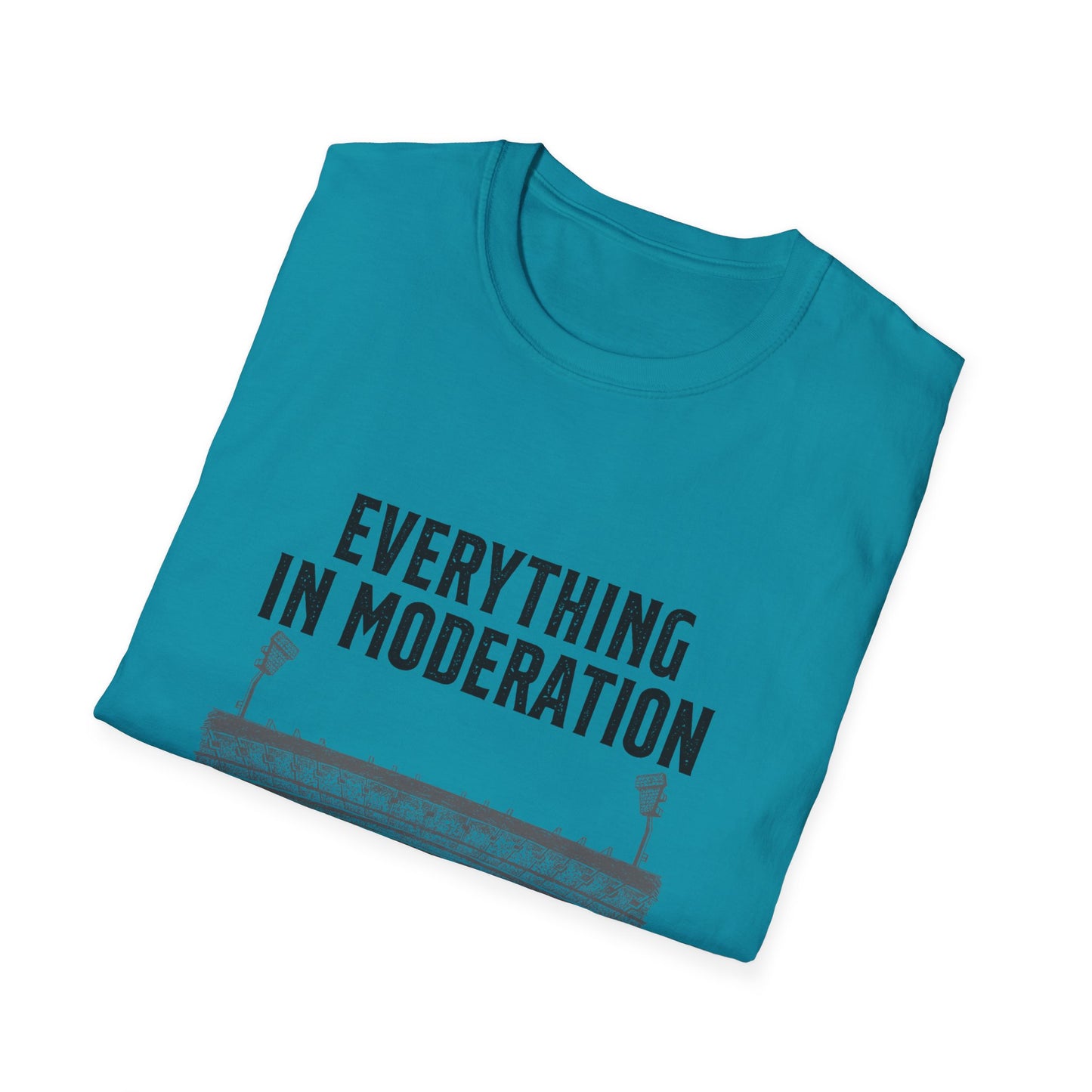 Everything In Moderation Except Cricket | Cricket T-shirt