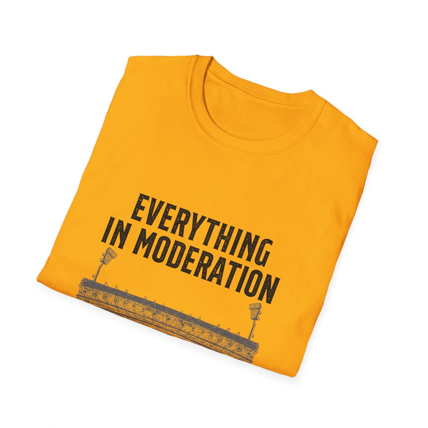 Everything In Moderation Except Cricket | Cricket T-shirt